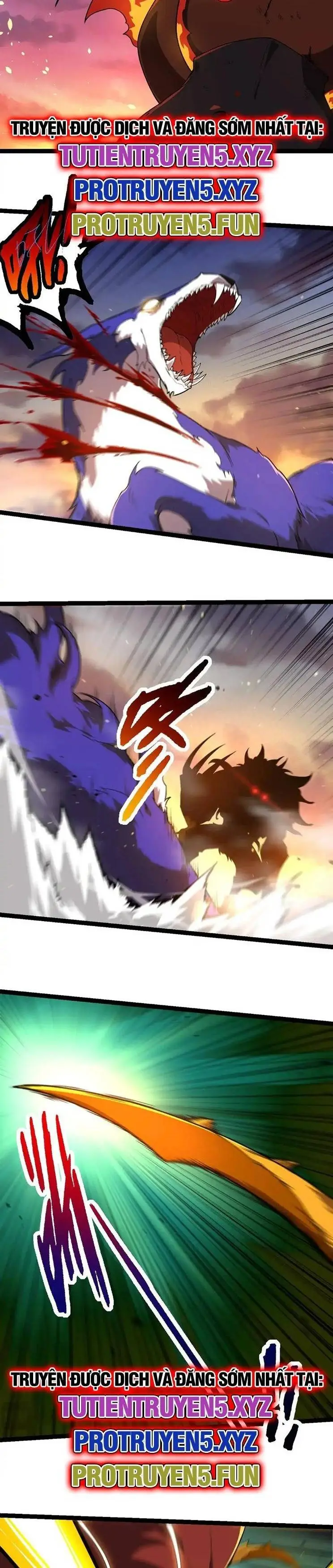 Chapter 222