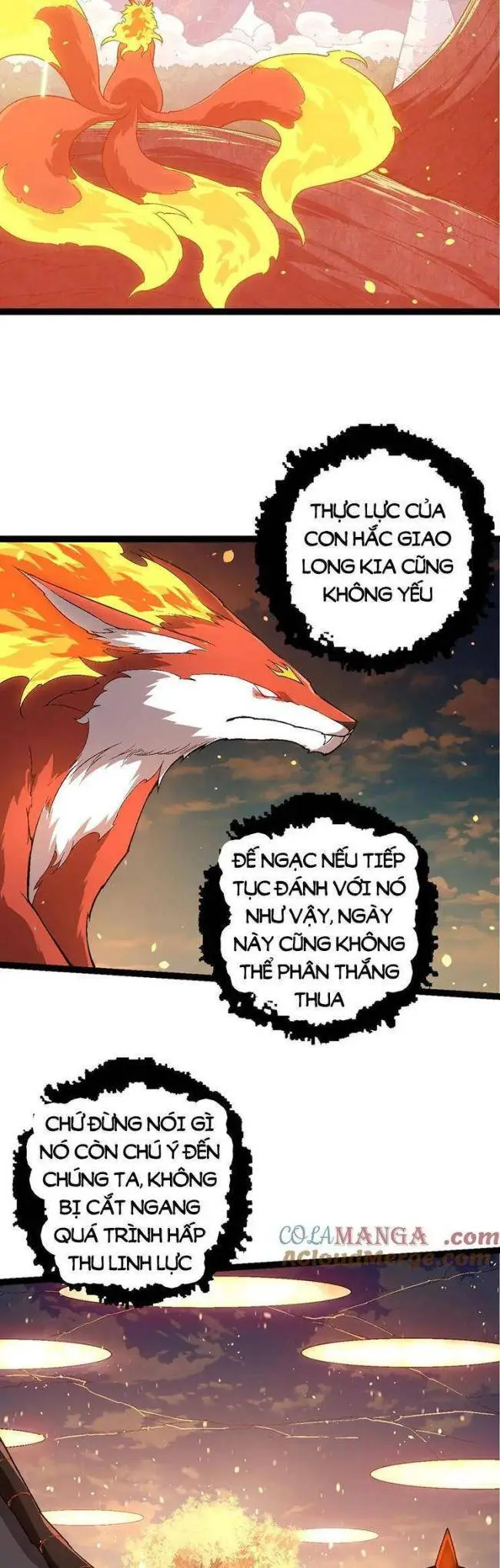 Chapter 209