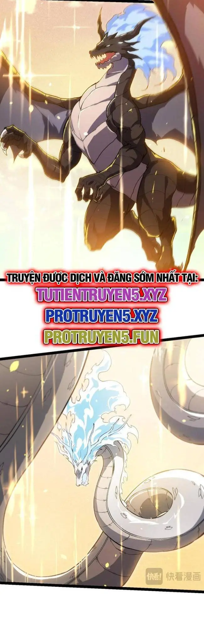 Chapter 204