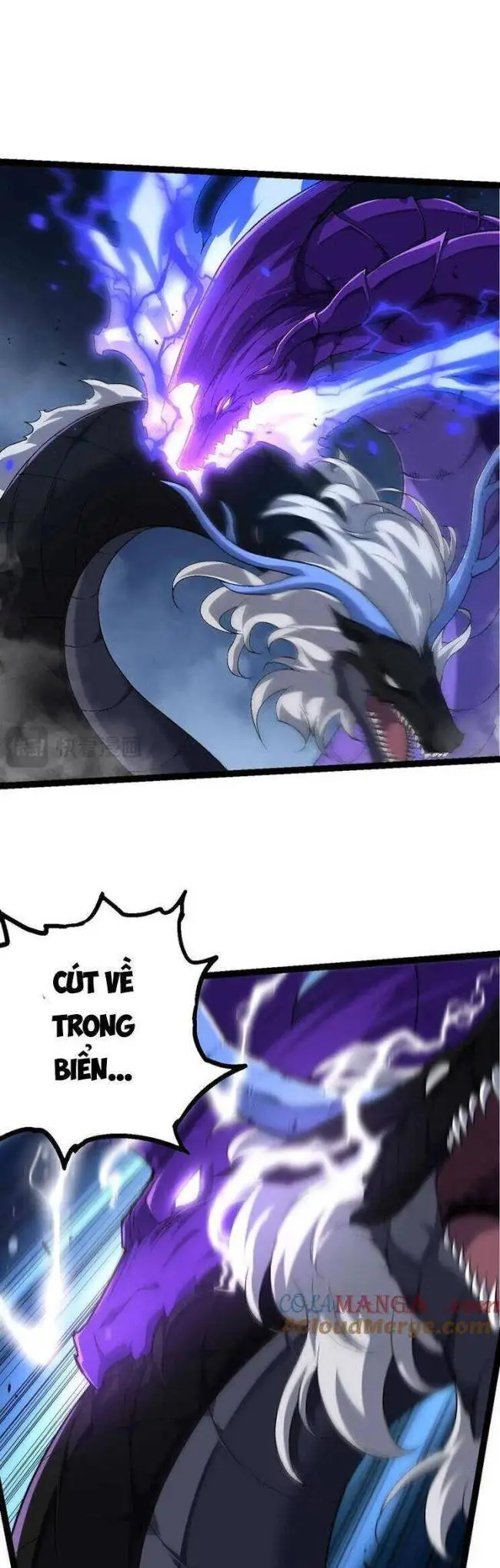 Chapter 202