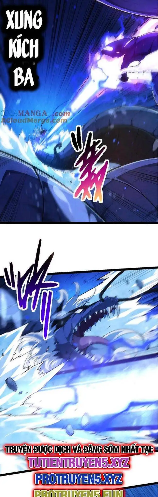 Chapter 202
