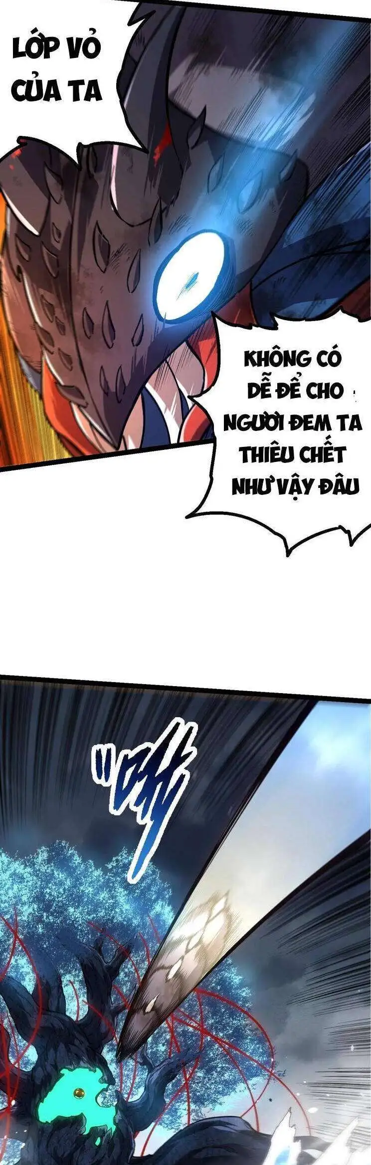 Chapter 162