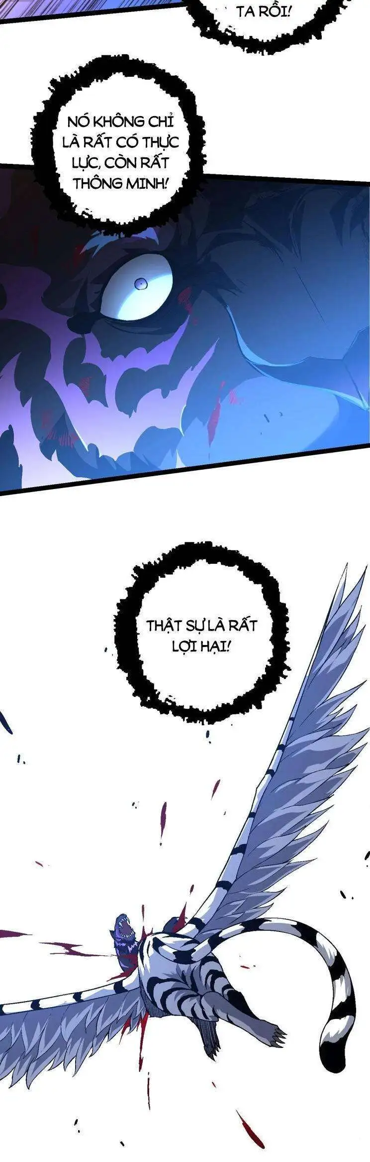 Chapter 153