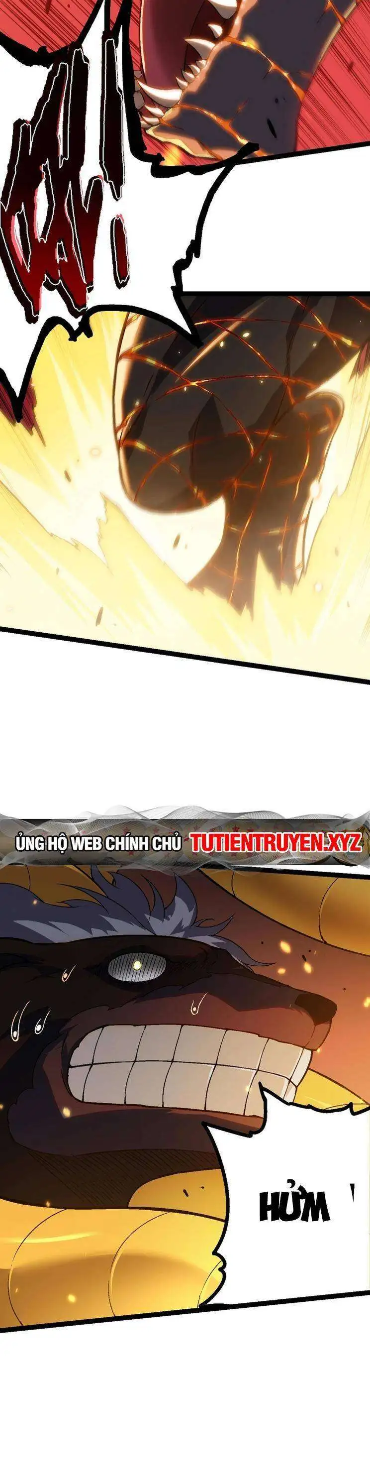 Chapter 146