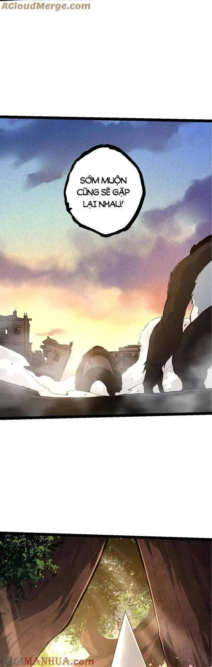 Chapter 135