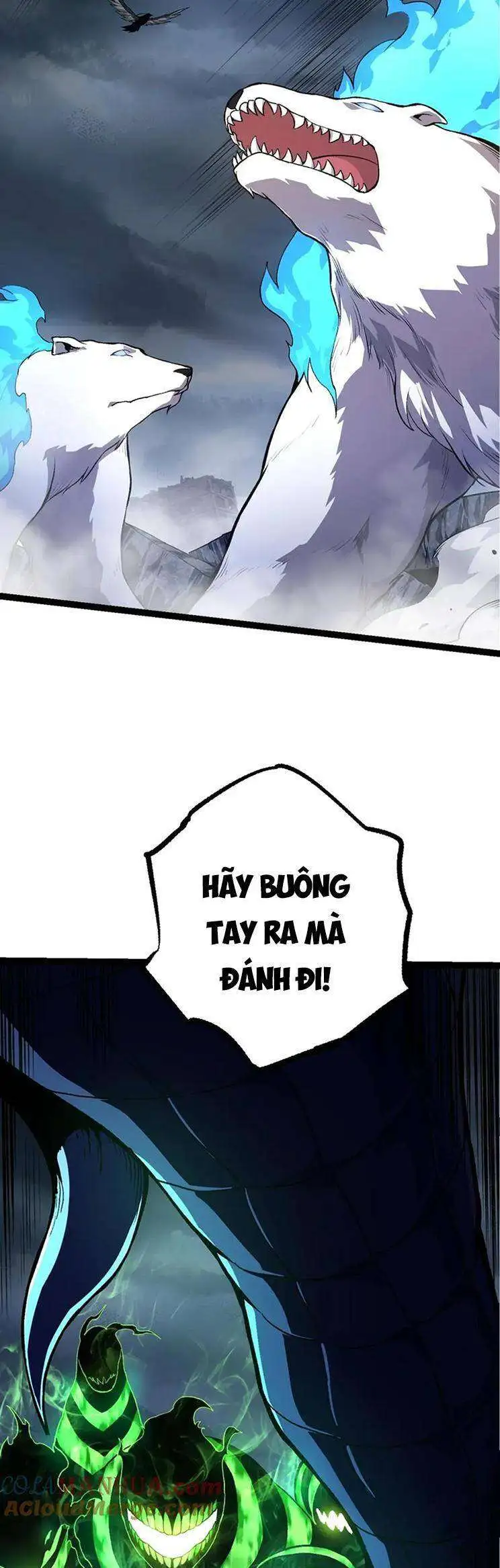 Chapter 126