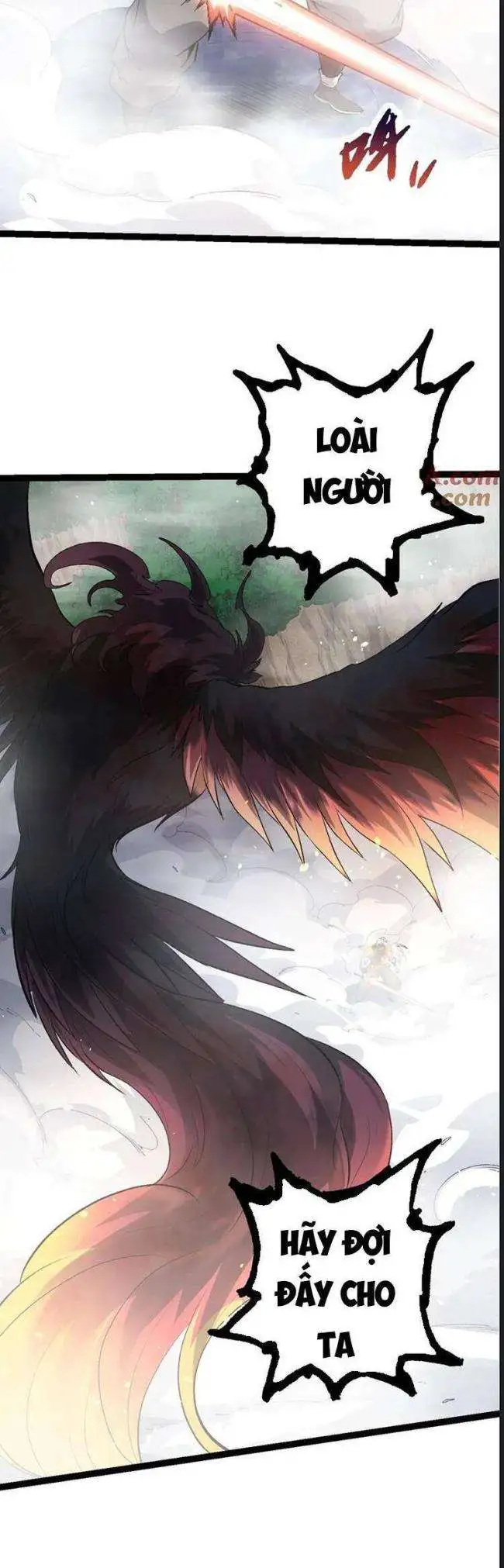 Chapter 104