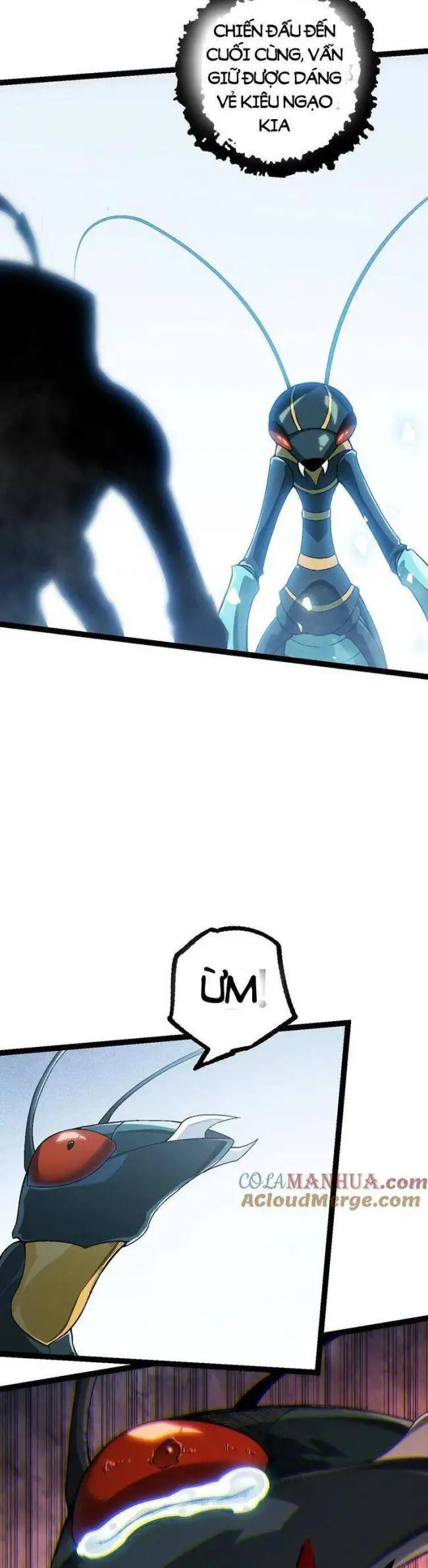 Chapter 55