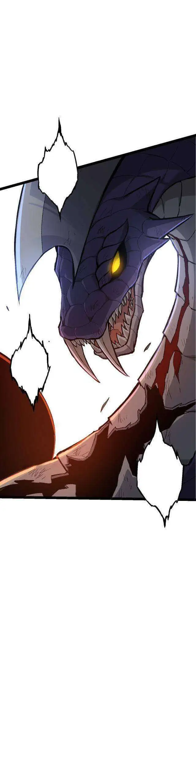 Chapter 12