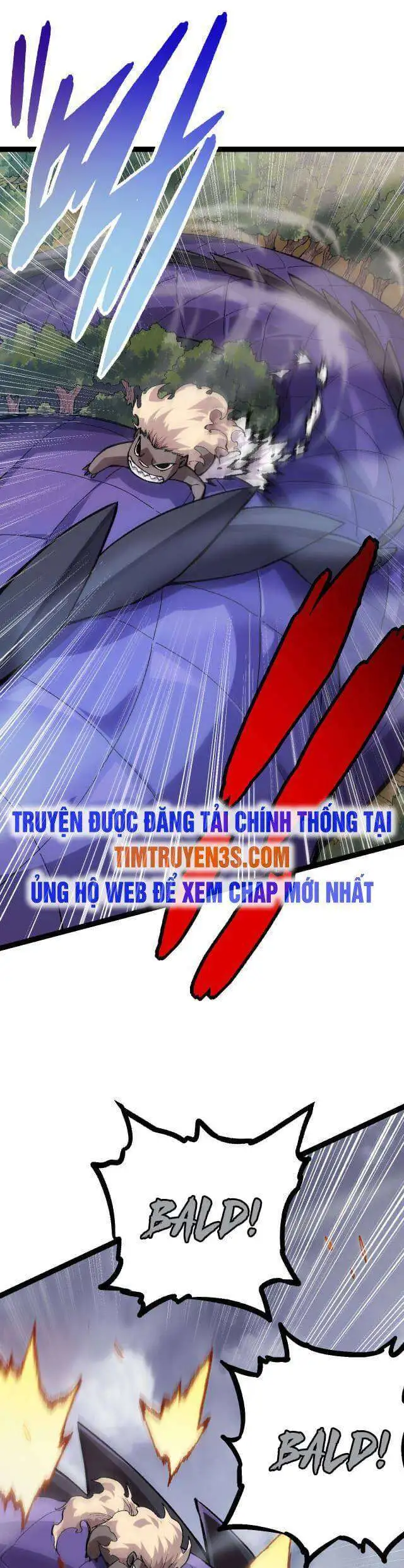 Chapter 11