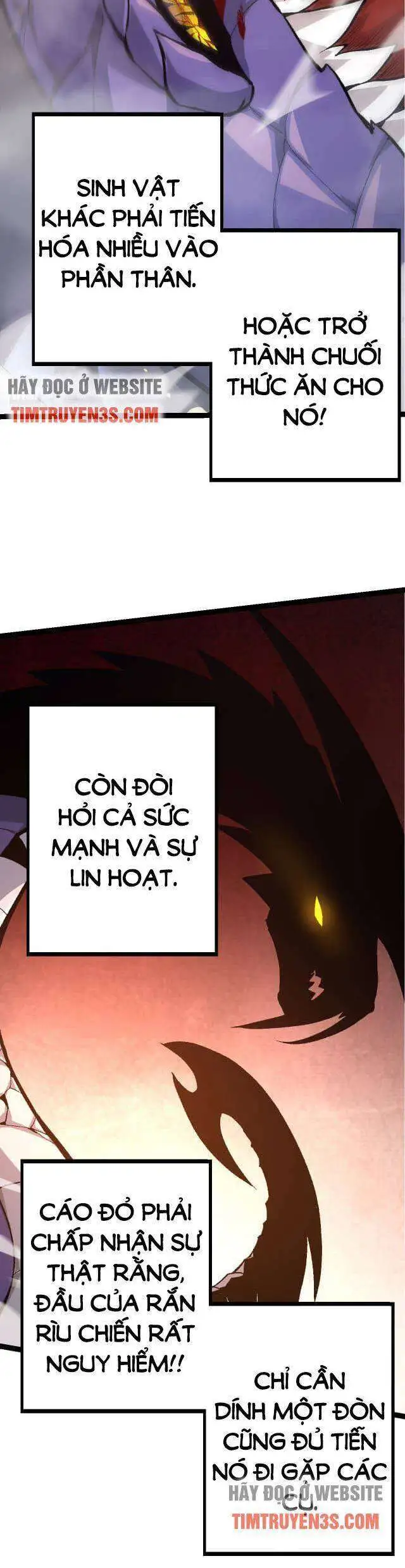 Chapter 11