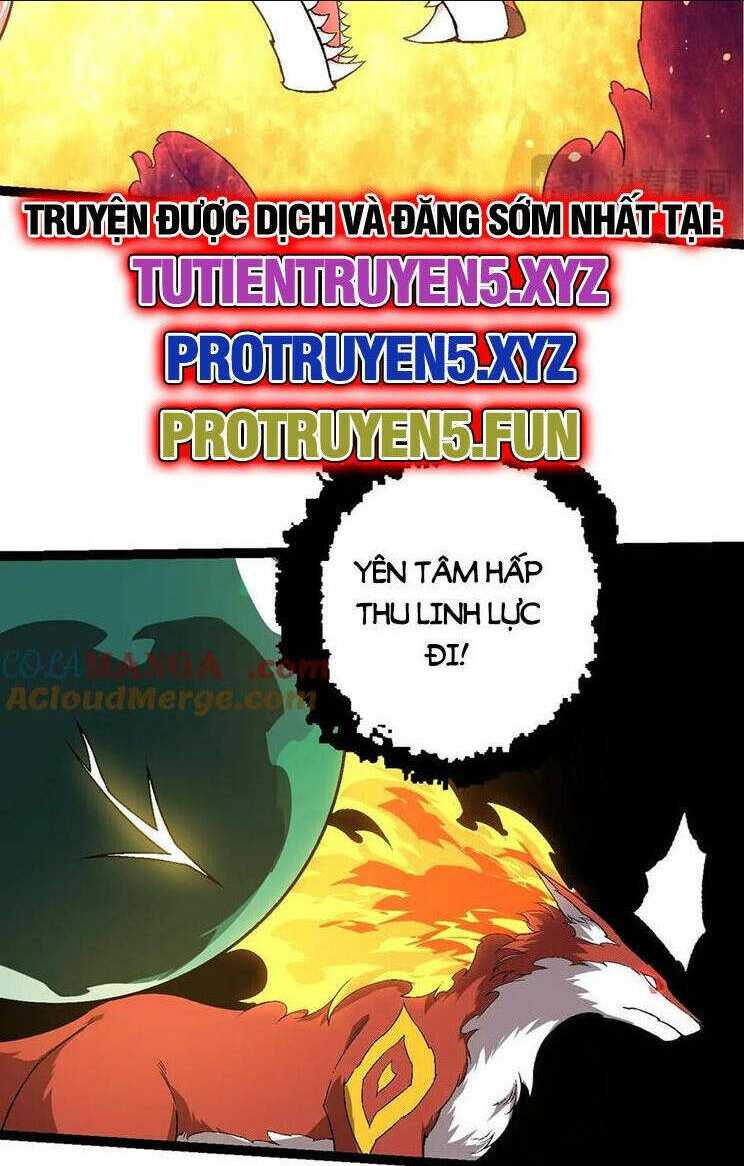 Chapter 209