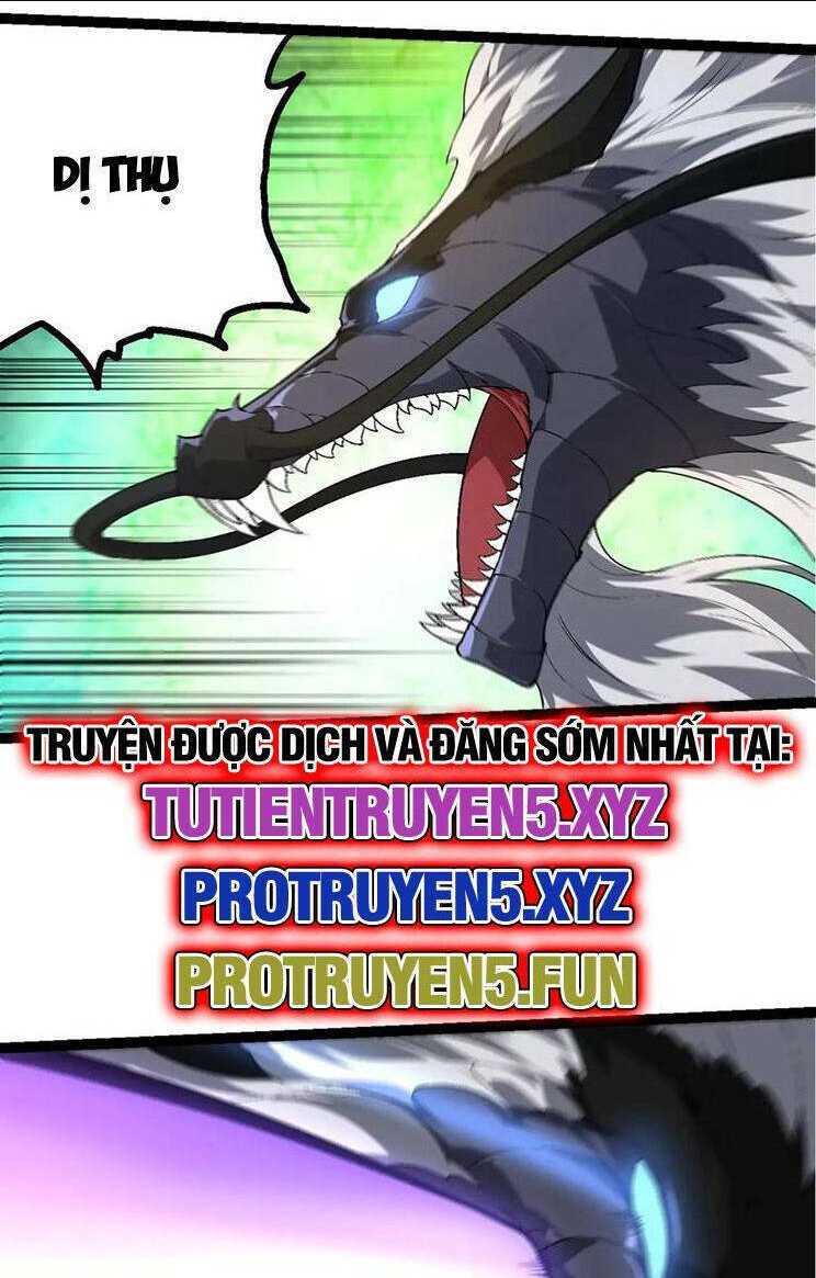 Chapter 209