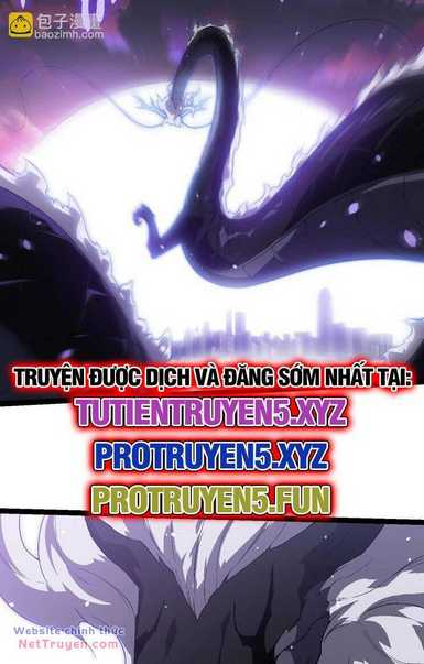 Chapter 207