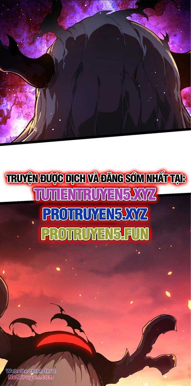 Chapter 206