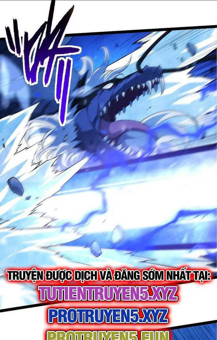 Chapter 202