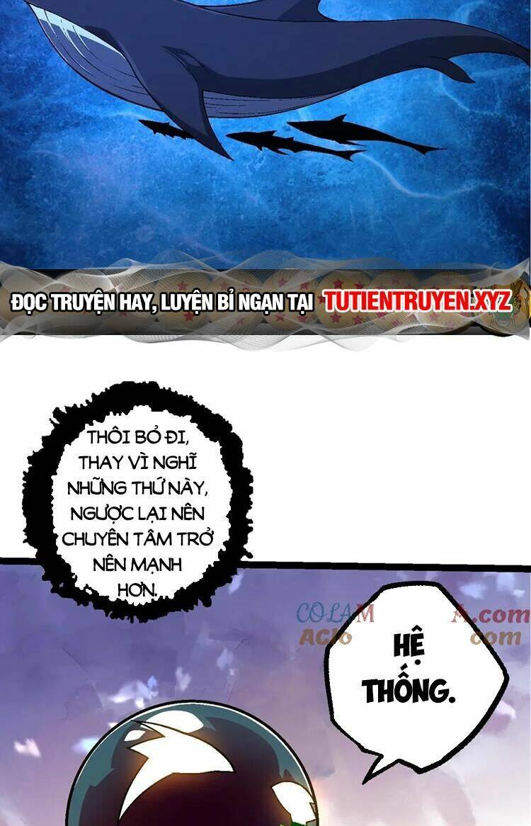 Chapter 85