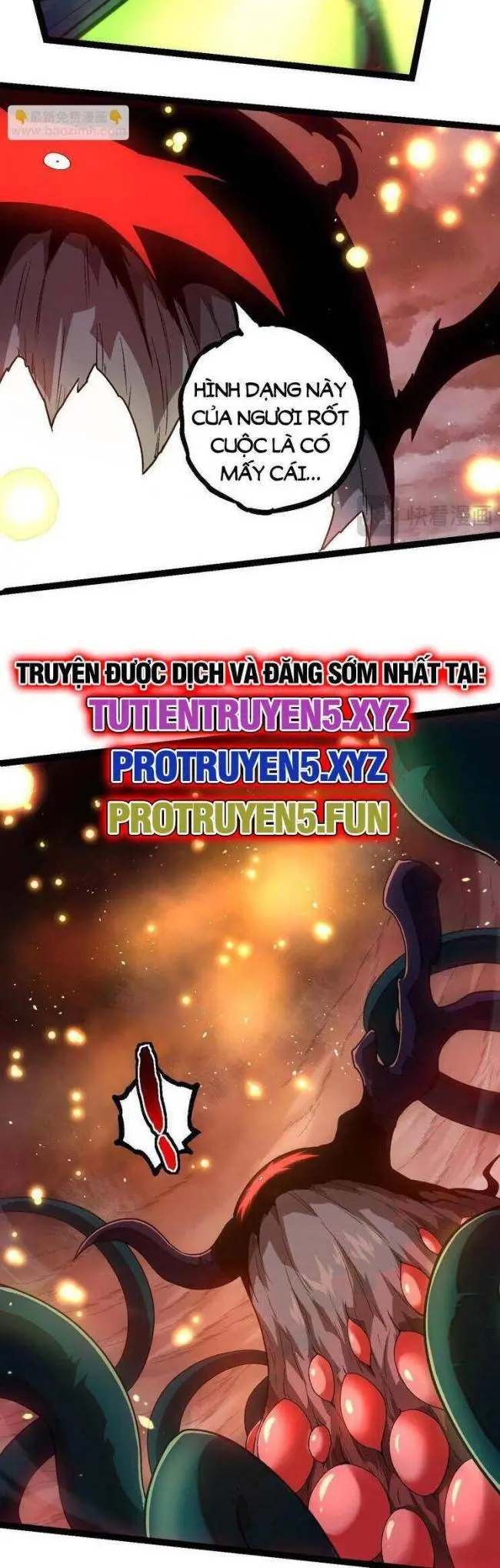 Chapter 224