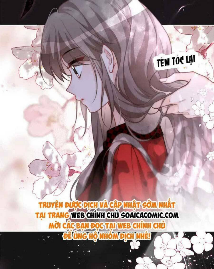 Chapter 172