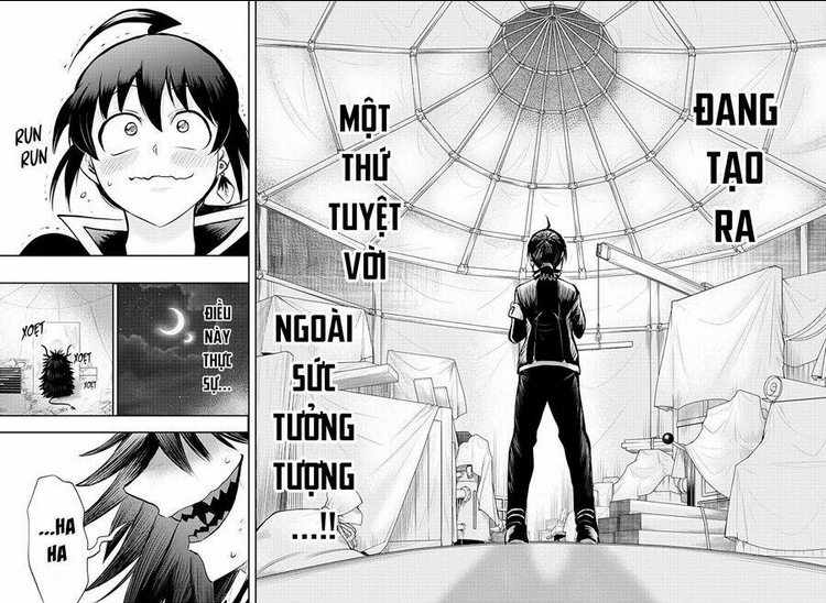 Chapter 337