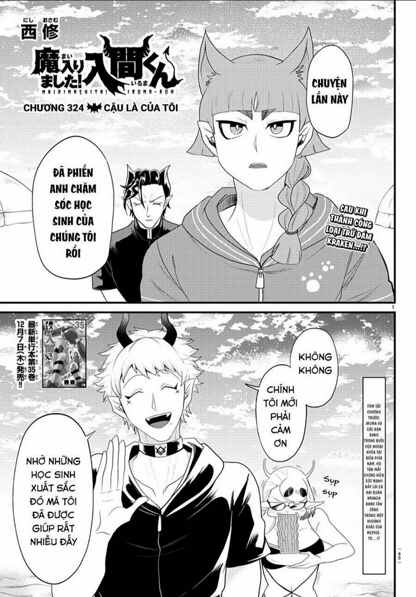 Chapter 324