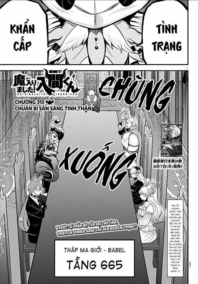 Chapter 313