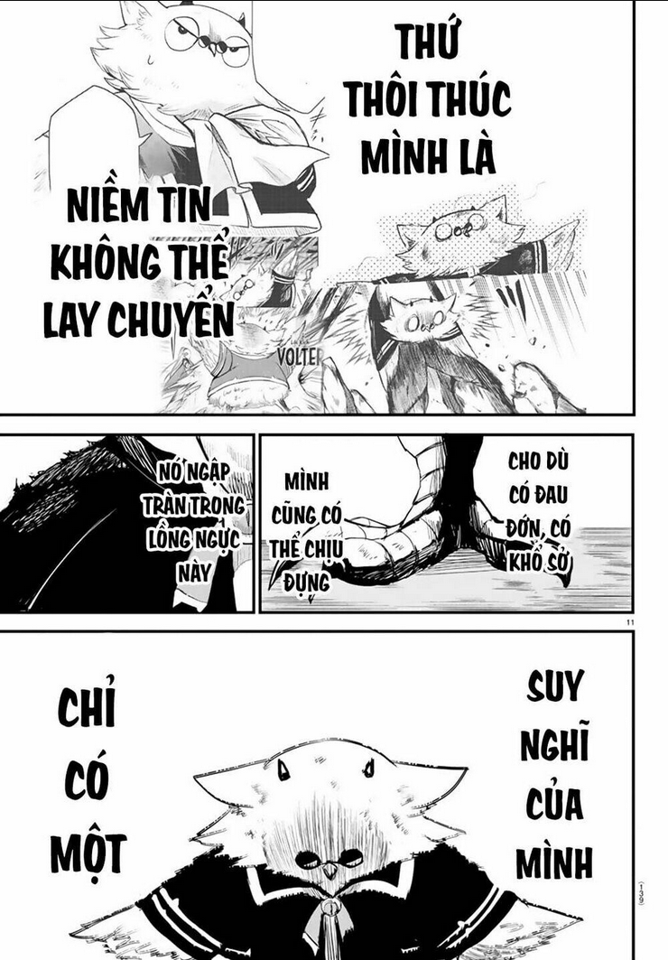 Chapter 243