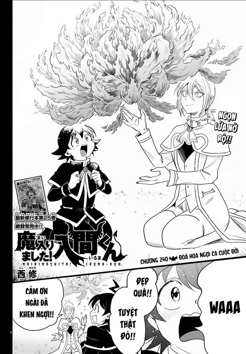 Chapter 240