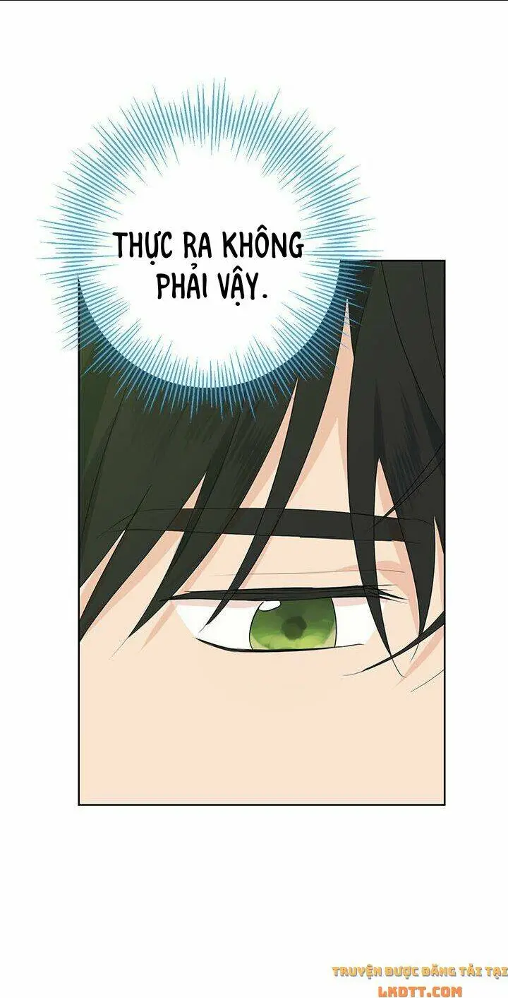 Chapter 41