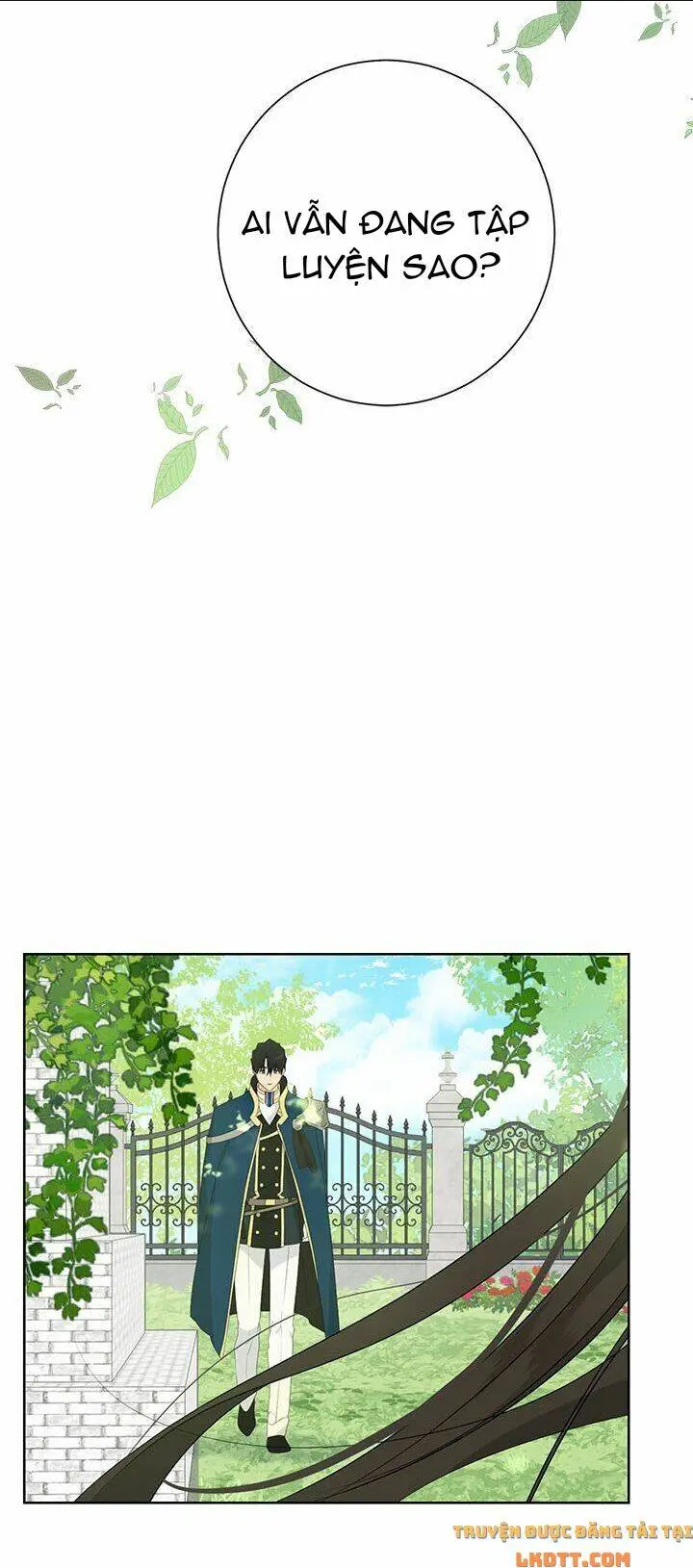 Chapter 41