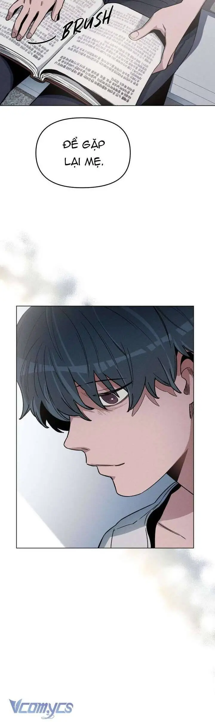 Chapter 31