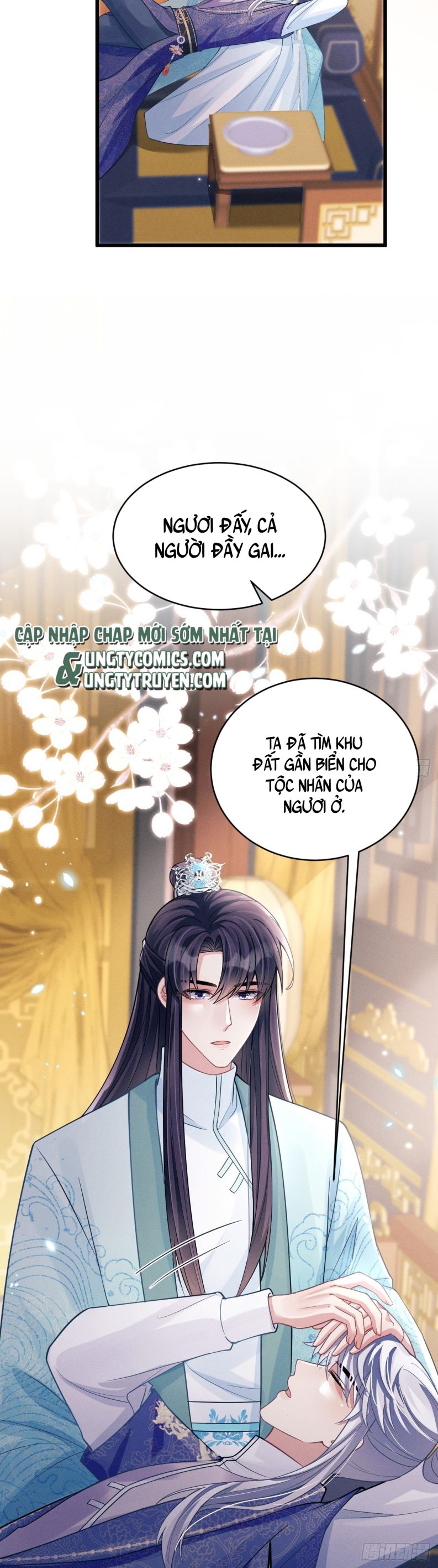 Chapter 49