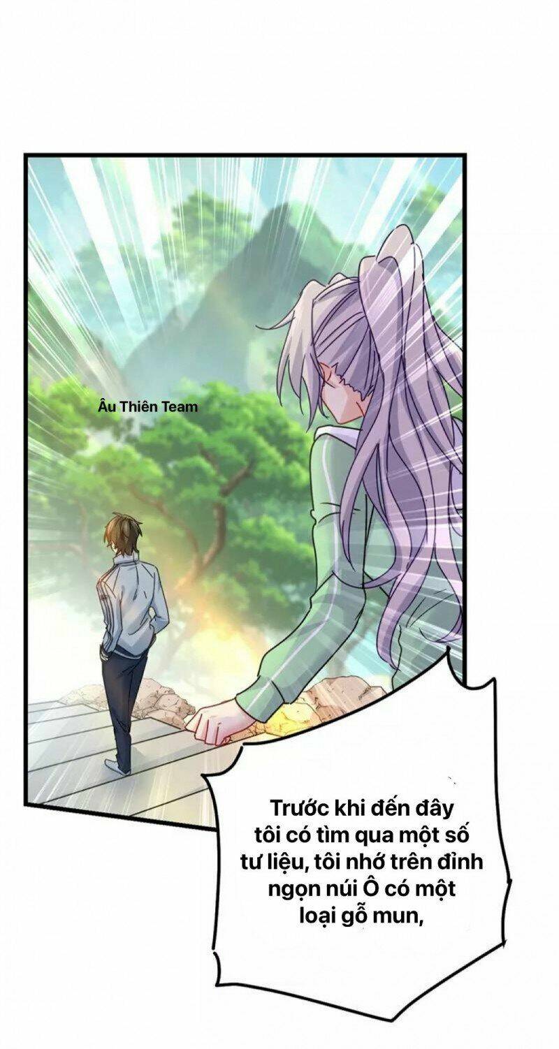 Chapter 404