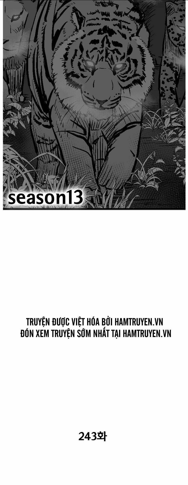 Chapter 243