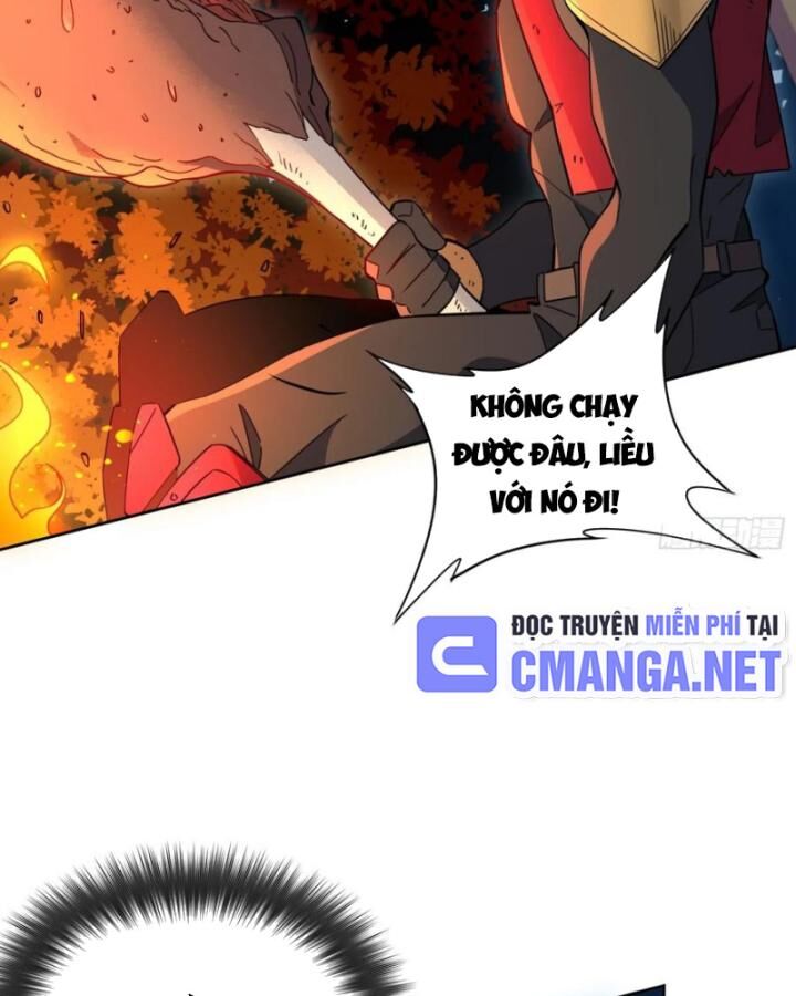 Chapter 239