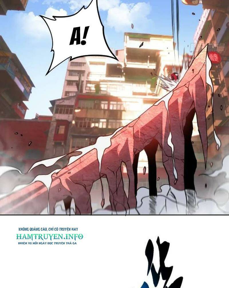 Chapter 205