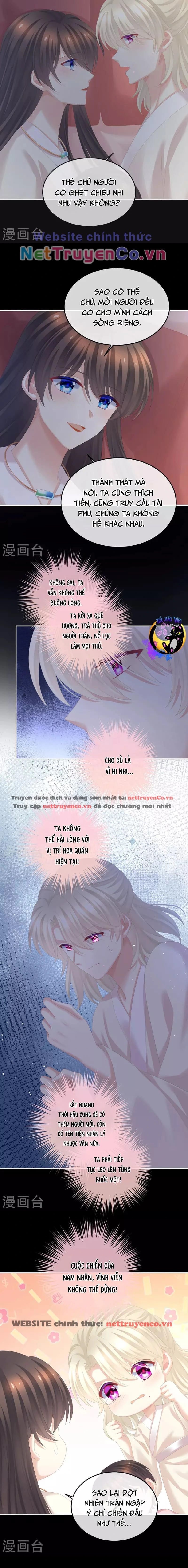 Chapter 381
