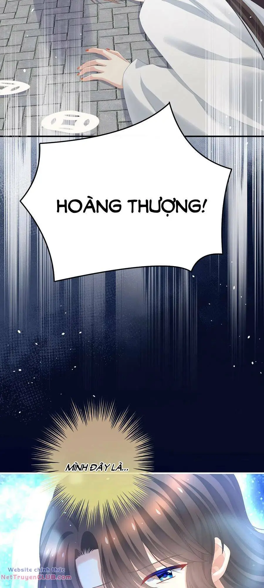 Chapter 361