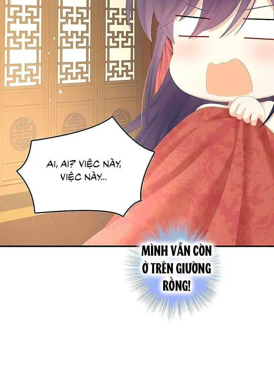 Chapter 355