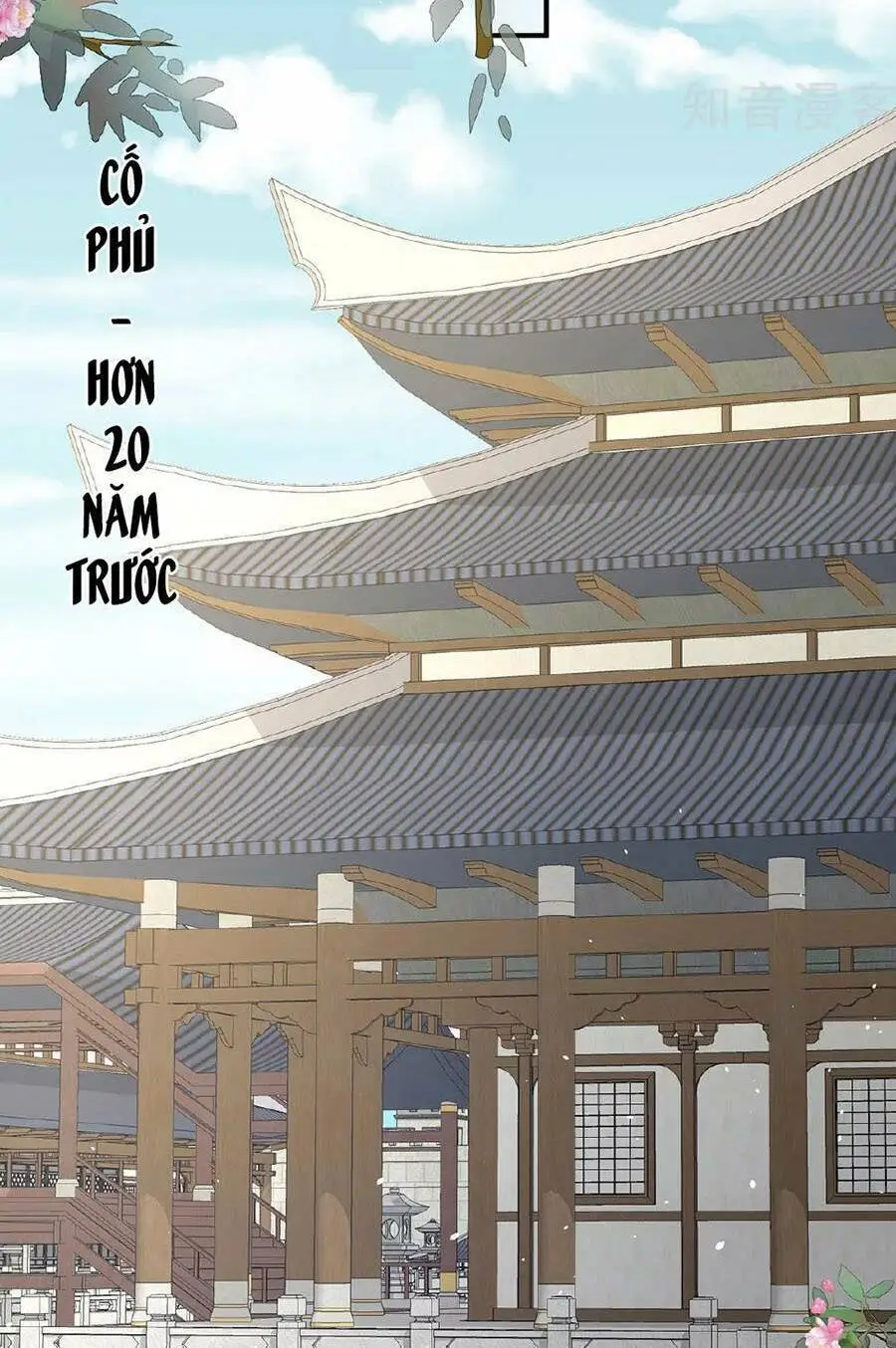 Chapter 338