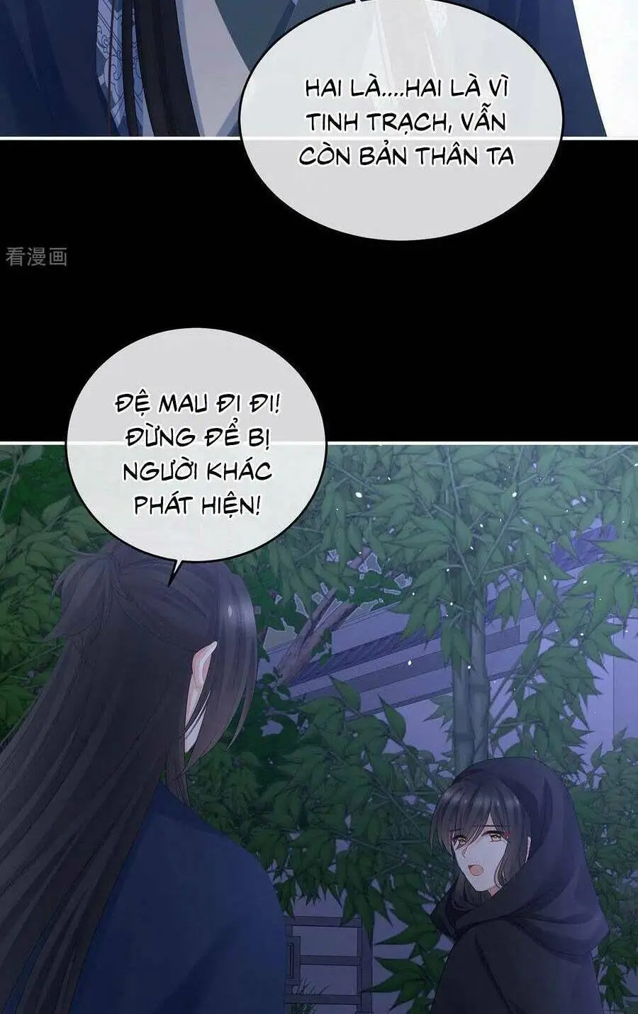 Chapter 335