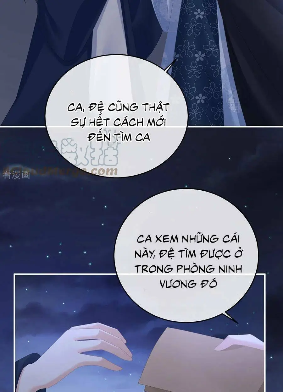 Chapter 335