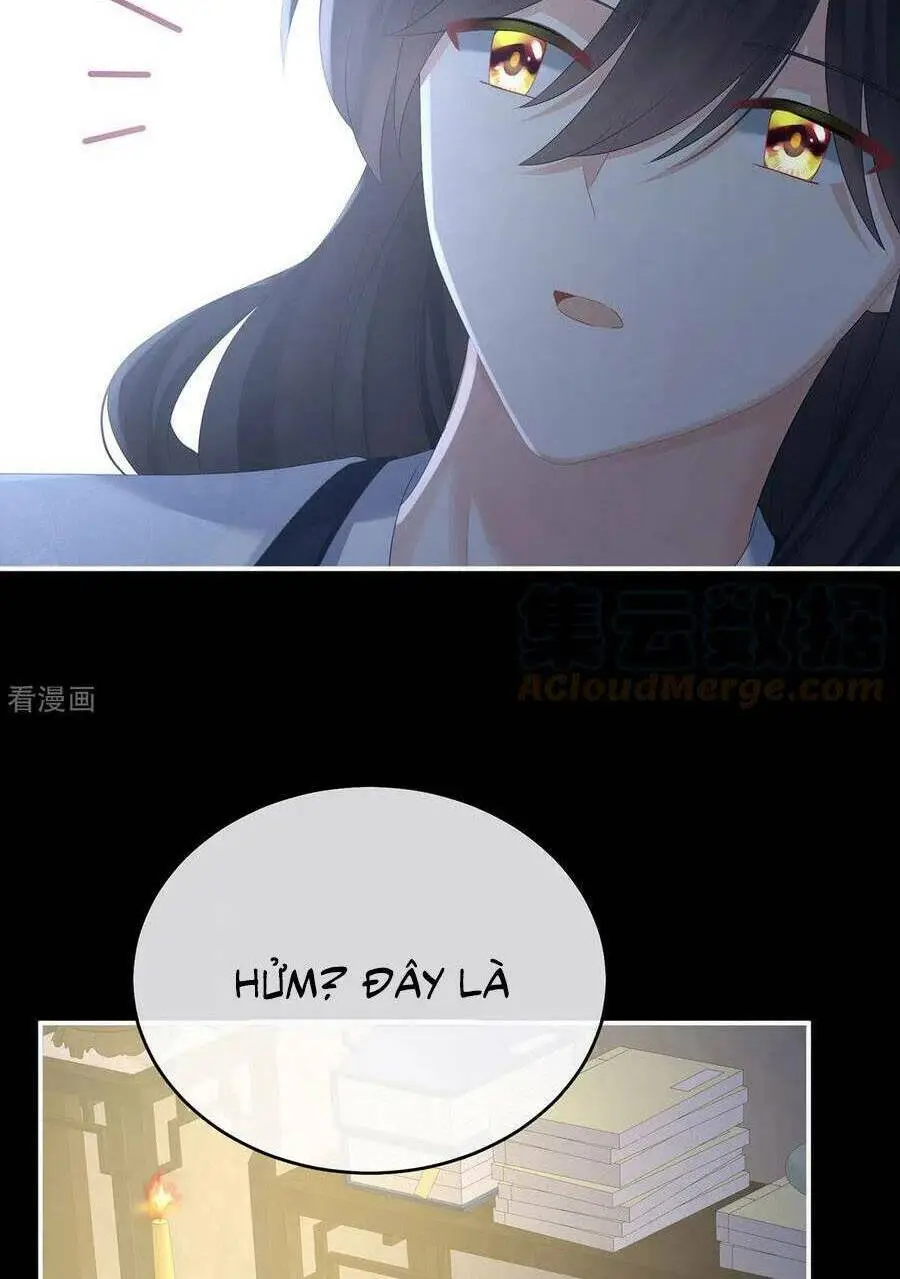 Chapter 334