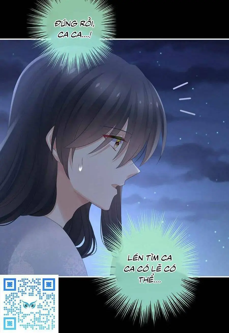Chapter 334