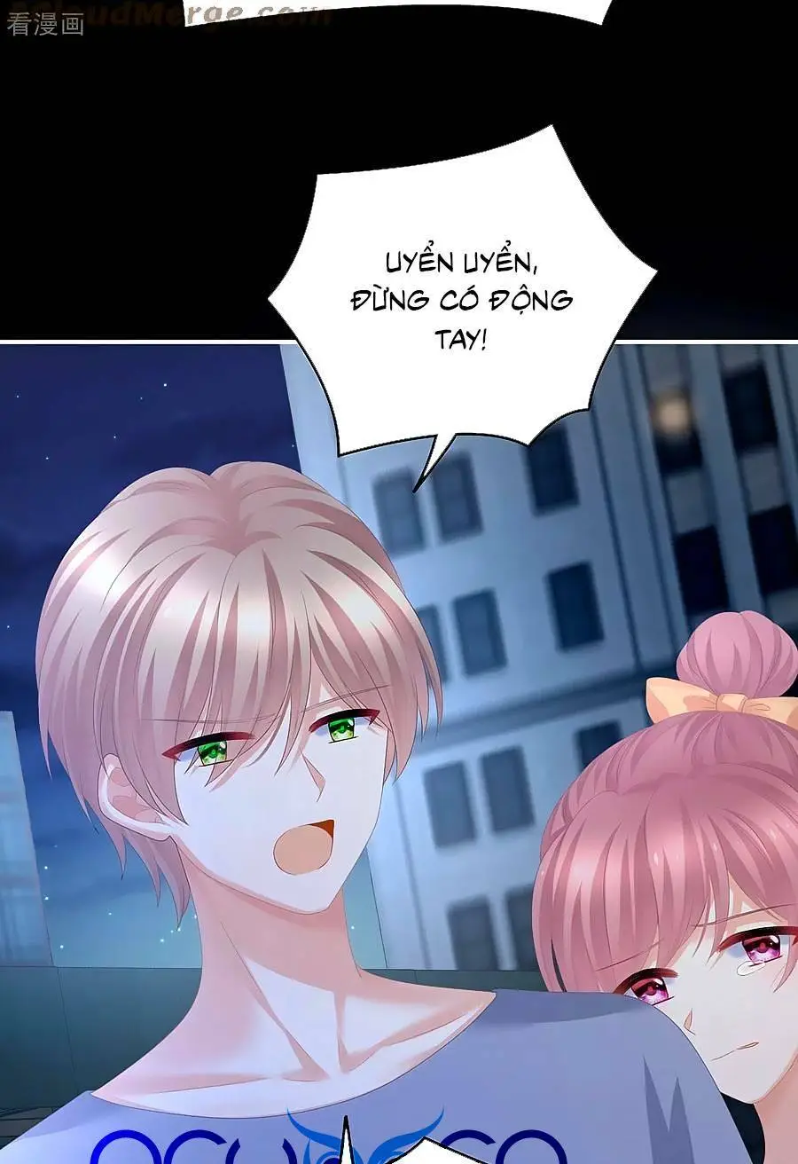 Chapter 323