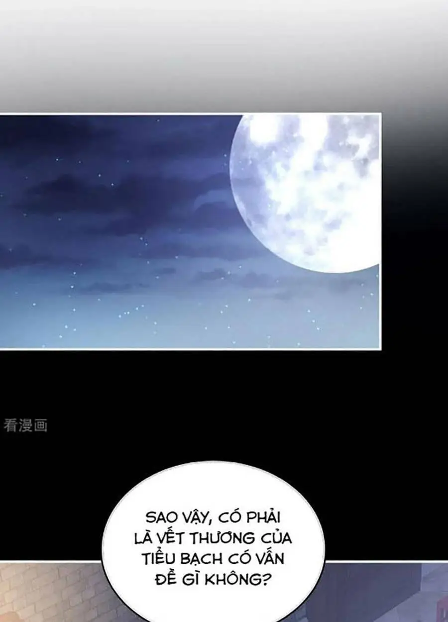 Chapter 304