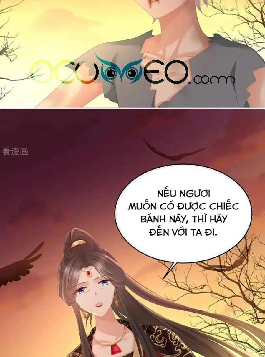 Chapter 301