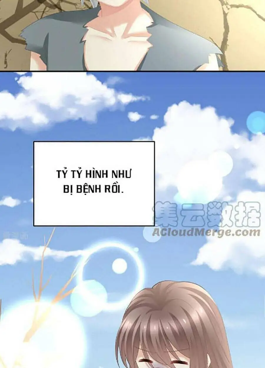 Chapter 300