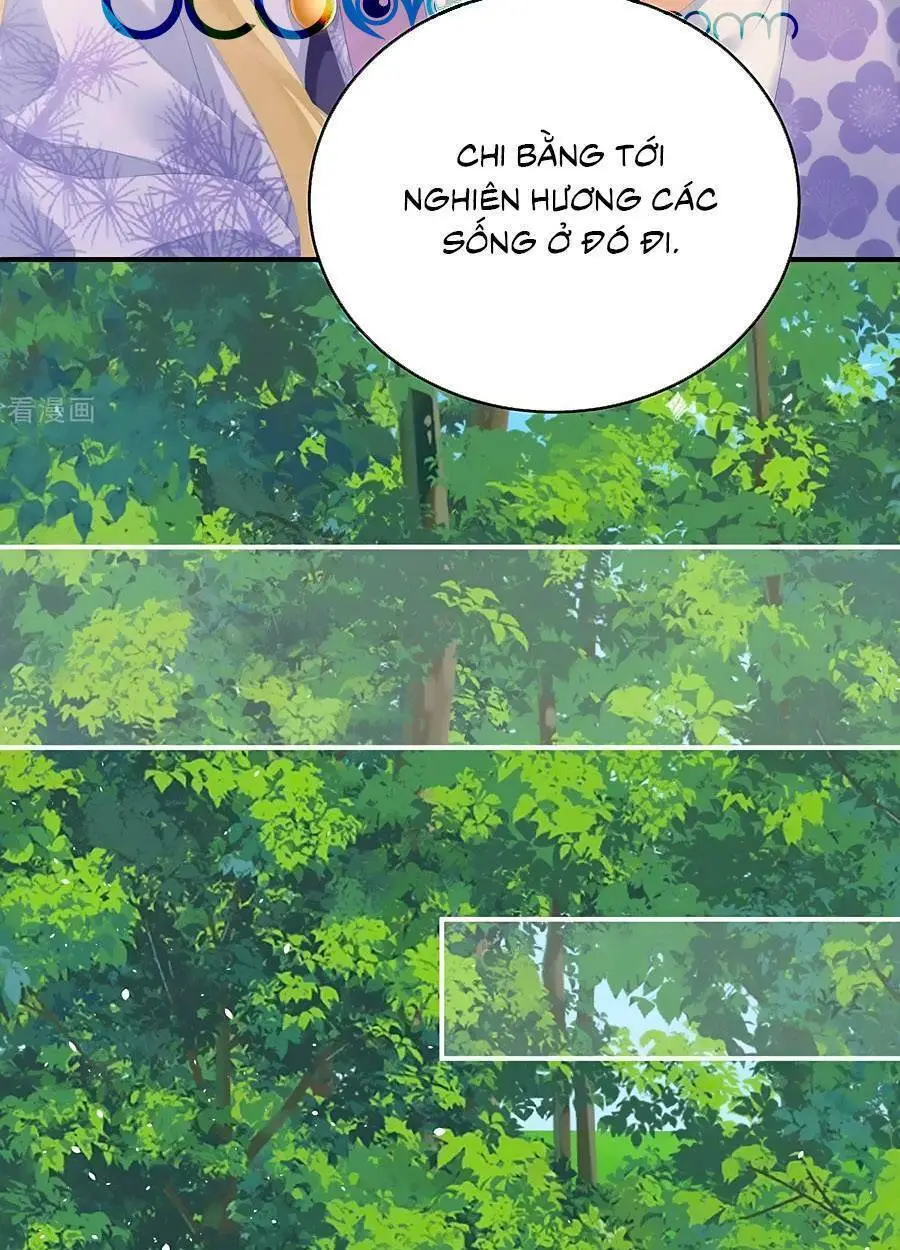 Chapter 284