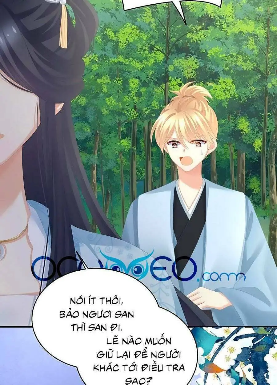 Chapter 284